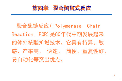 聚合酶链式反应ppt课件