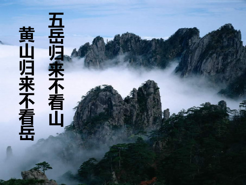 黄山奇松精品PPT课件
