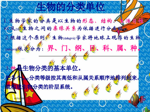 七年级生物上册生物的分类单位