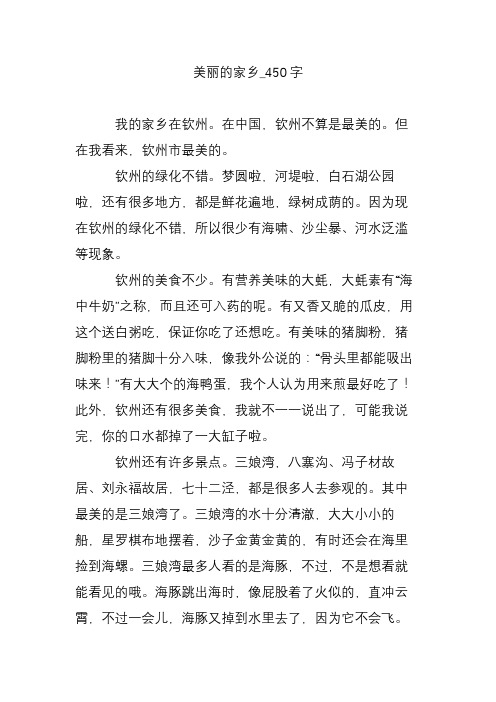 美丽的家乡_450字