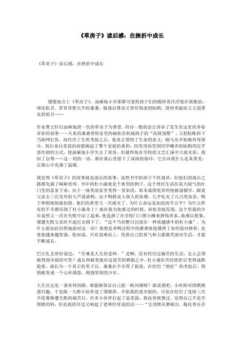 《草房子》读后感：在挫折中成长