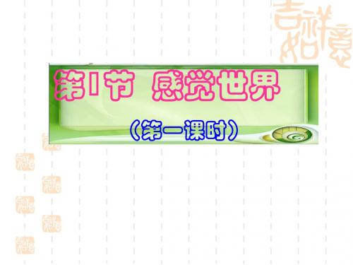 感觉世界