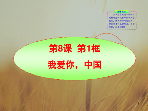 最新-八年级政治上册 第8课  第1框我爱你中国课件 人教新课标版 精品 