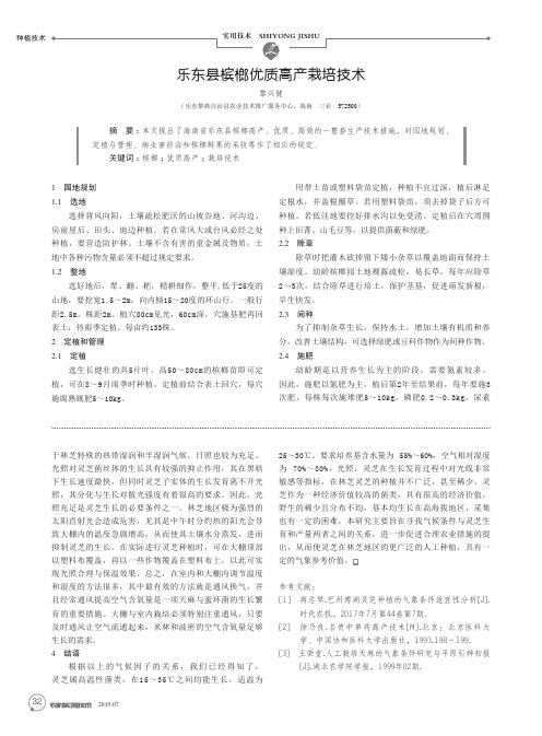 乐东县槟榔优质高产栽培技术