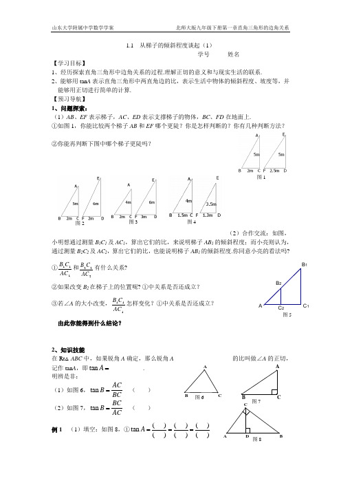 从梯子的倾斜程度谈起(1)学案