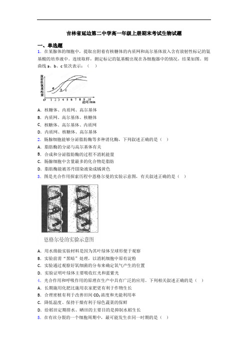 吉林省延边第二中学高一年级上册期末考试生物试题