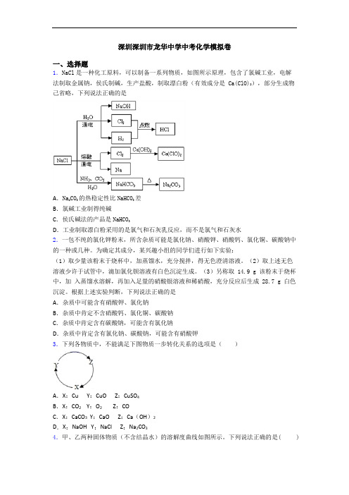 深圳深圳市龙华中学中考化学模拟卷