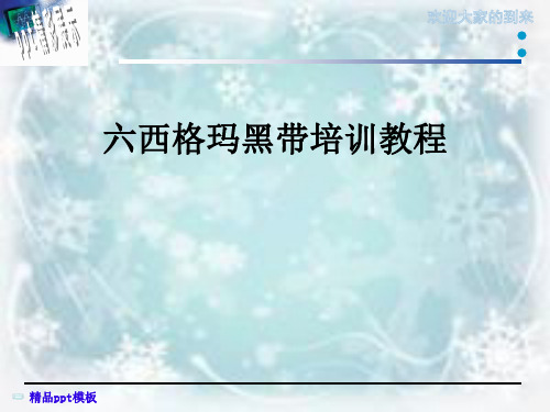 六西格玛黑带培训教程