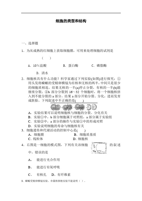 最新高中生物-高一生物细胞的类型和结构测试题13 精品