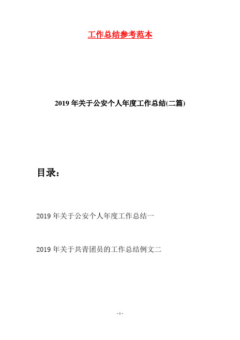 2019年关于公安个人年度工作总结(二篇)