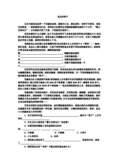 昆虫的鼻子