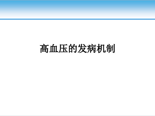 高血压的发病机制ppt课件
