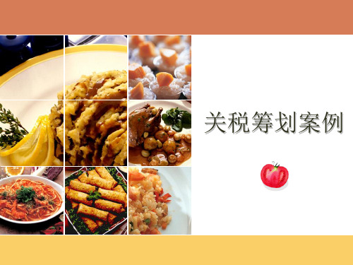 关税纳税筹划案例18页PPT文档