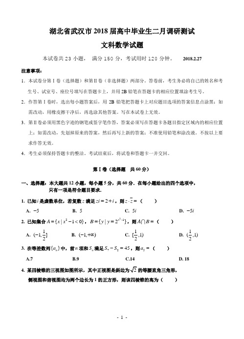 湖北省武汉市2018届高三毕业生二月调研考试文科数学试题