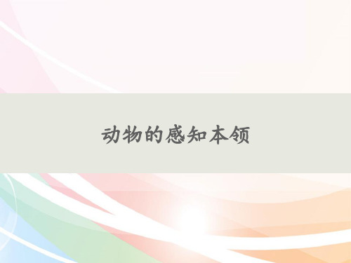 二年级下册科学课件-9动物的感知本领- 鄂教版  (共16张PPT)