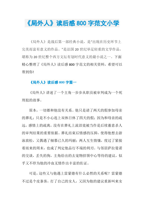 《局外人》读后感800字范文小学