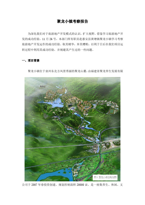 聚龙小镇景观考察报告