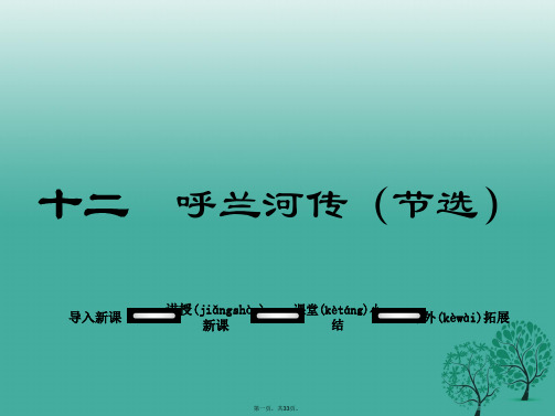 九年级语文下册第三单元12呼兰河传(节选)课件(新版)苏教版
