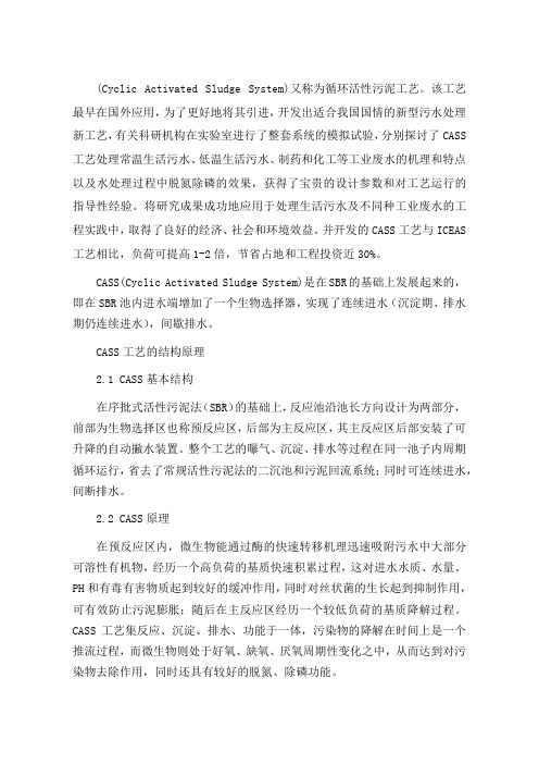 污水处理CASS工艺 (2)