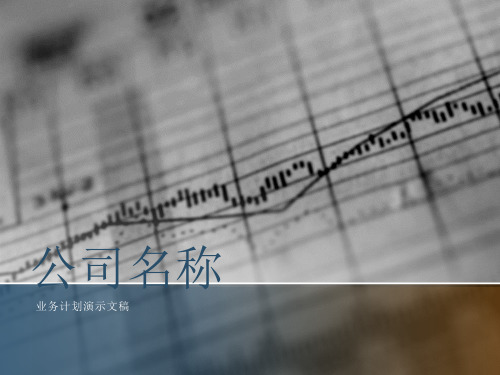 公司介绍(PPT精美模板)