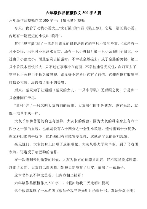 六年级作品梗概作文500字5篇