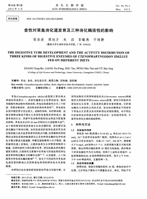 食性对草鱼消化道发育及三种消化酶活性的影响