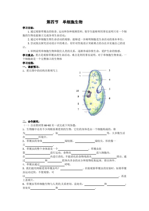 2.2.4 单细胞生物导学案