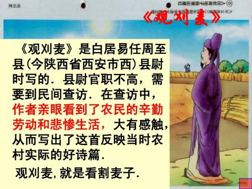 观刈麦