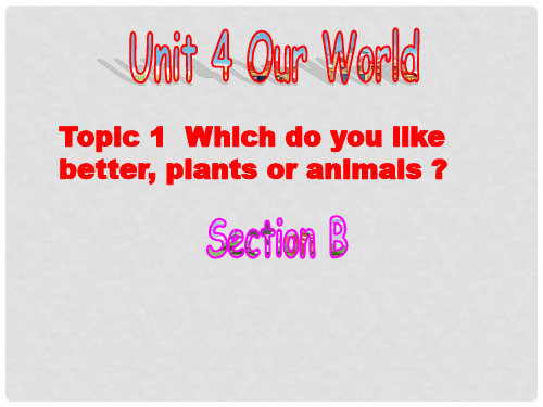 八年级英语上册 Unit 4 Topic 1 Which do you lik？Se