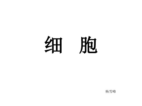 细胞壁和细胞膜