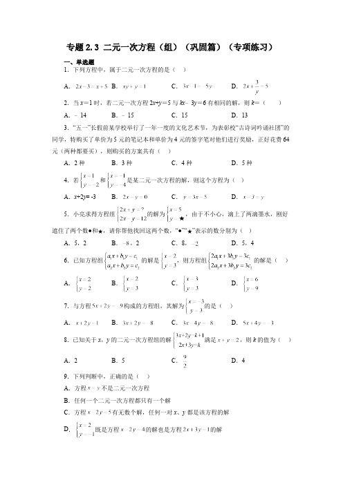 2.3 二元一次方程(组) 浙教版数学七年级下册基础知识讲与练巩固篇(含答案)