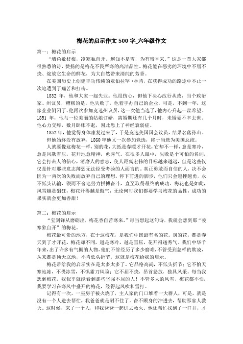 梅花的启示作文500字_六年级作文