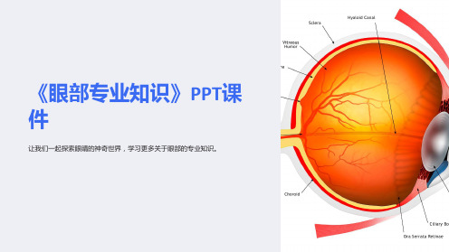 《眼部专业知识》课件