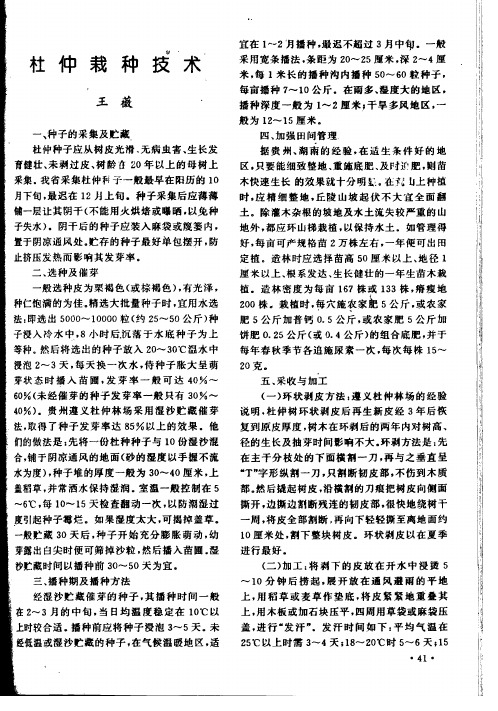 杜仲栽种技术