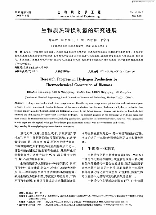 生物质热转换制氢的研究进展