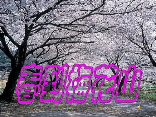 春到梅花山ppt