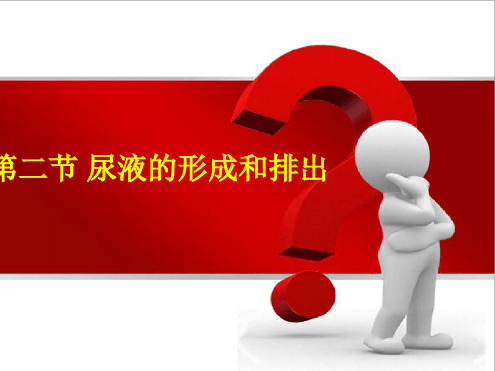 七年级下册生物课件 72尿液的形成和排出课件4北京版