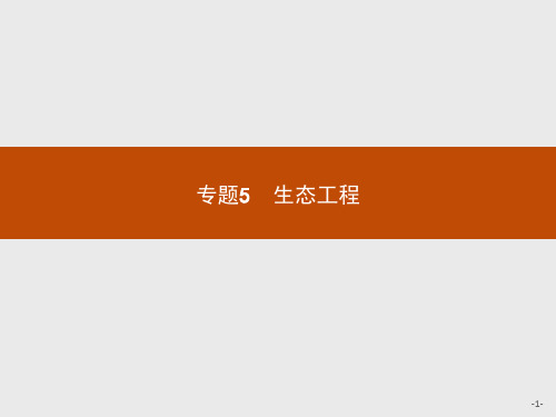 高中生物人教版选修3课件：5.1 生态工程的基本原理