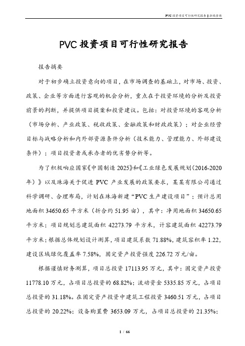 PVC投资项目可行性研究报告