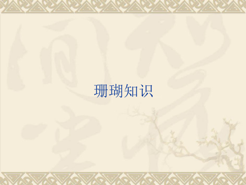 珊瑚