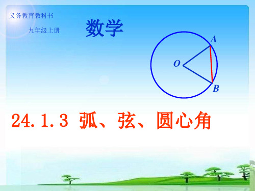 人教版九年级上册数学课件弧、弦、圆心角