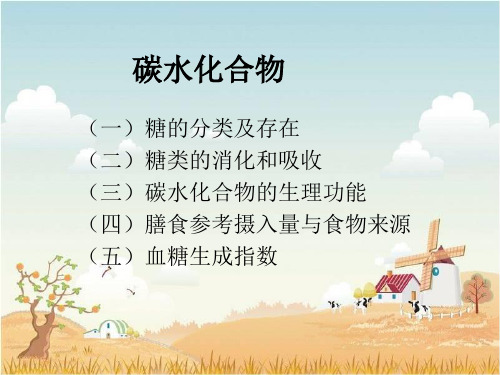 碳水化合物和脂类 -精品课件