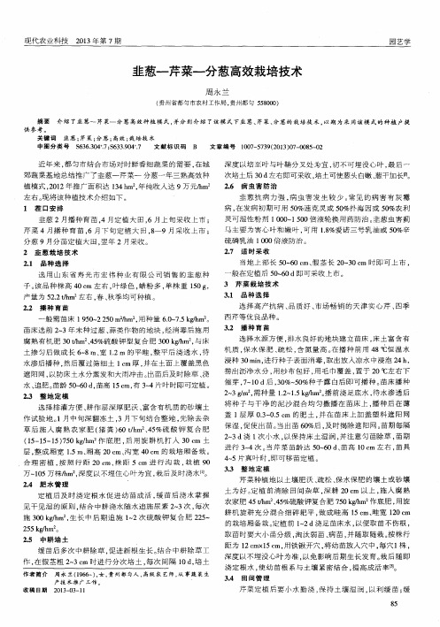 韭葱-芹菜-分葱高效栽培技术