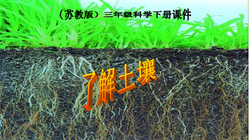 苏教版三年级科学下册精品课件《了解土壤》PPT课件之一