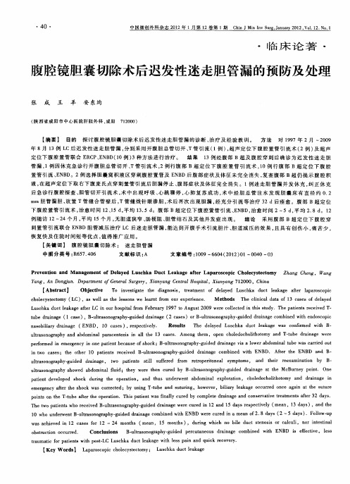 腹腔镜胆囊切除术后迟发性迷走胆管漏的预防及处理