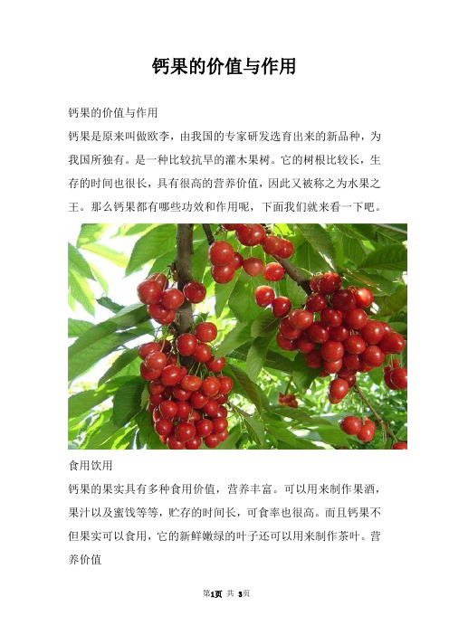 钙果的价值与作用