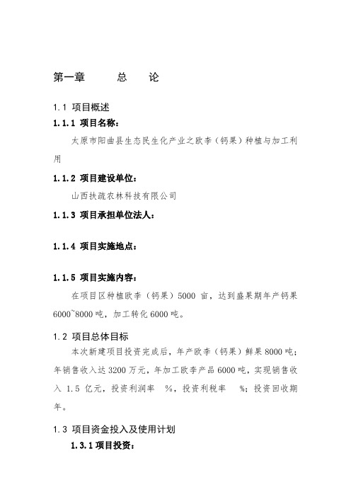 钙果可行性研究报告