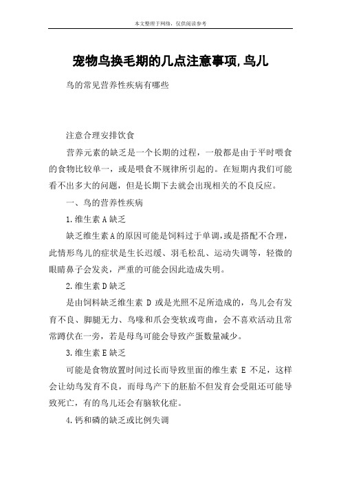 宠物鸟换毛期的几点注意事项,鸟儿