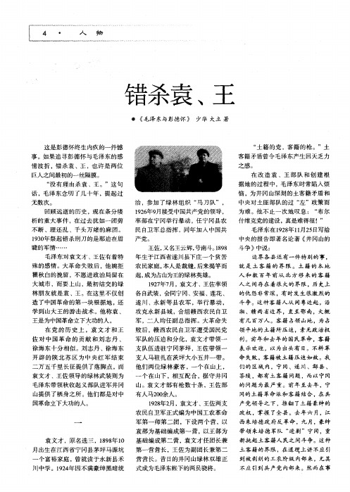 错杀袁、王