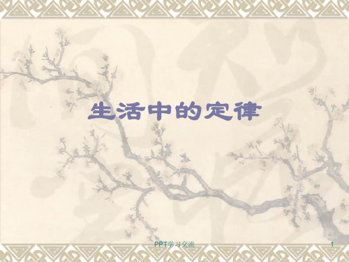管理学十大定律课件